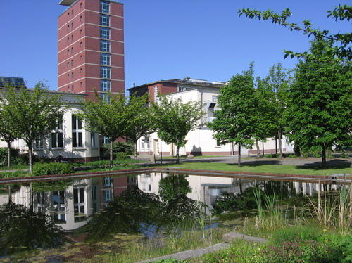 hoheltzcentrum
